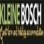 Kleine Bosch