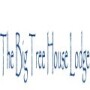 Big Tree House