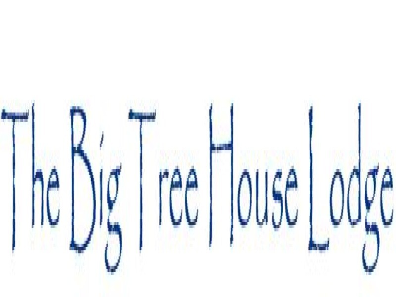 Big Tree House