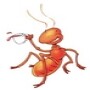 Ant Problems