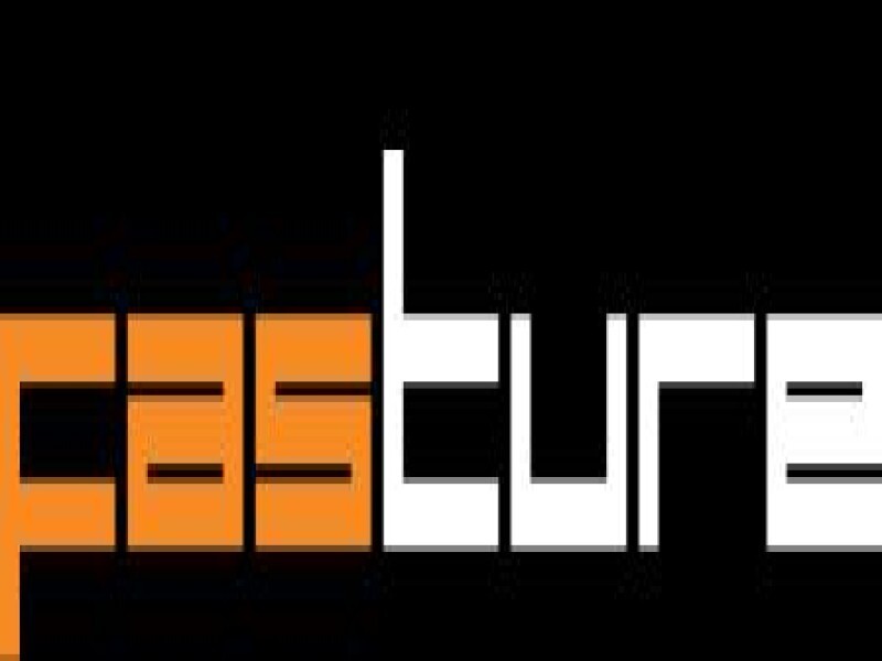 Fasture