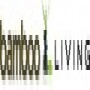 Bamboo Living