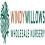 Windy Willows Wholesale Nursery