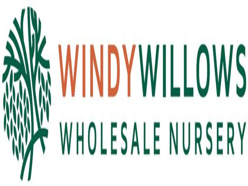Windy Willows Wholesale Nursery