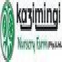 Kazimingi