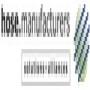 Hose Manufacturers