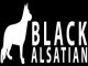 Black Alsatian Technologies Cc