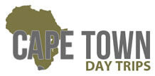 Cape Town Transfers