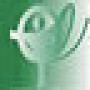 Otasa