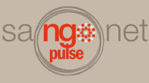 Ngo Pulse