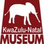 African Invertebrates
