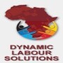 Dynamic Labour