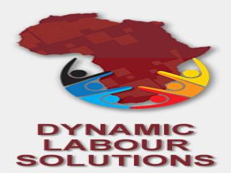 Dynamic Labour