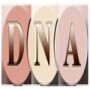 Dna Recruitment Solutions