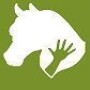 Equine Bowen Therapy S.A.