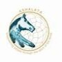 Ashalata Equine Therapy
