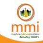 Mmi Biodiesel
