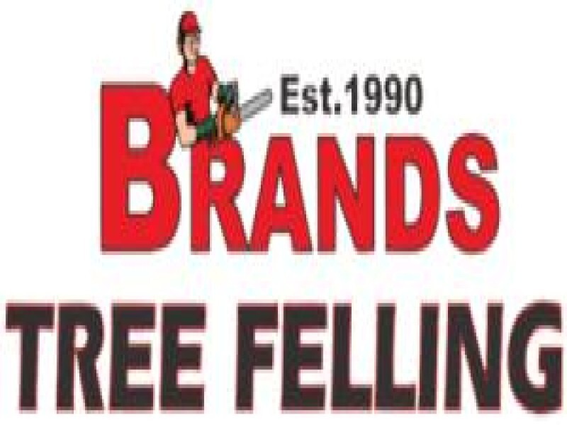 Brands Tree Felling