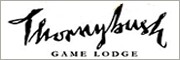 Thornybush Game Lodge