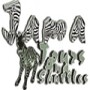 Jama Tours & Shuttles