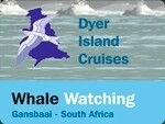 Dyer Island Cruises