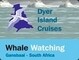Dyer Island Cruises