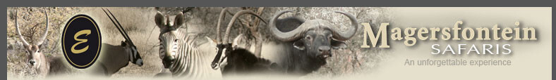 Magersfontein Guest Lodge