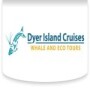 Dyer Island Cruises