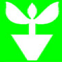 Mdseedlings