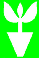 Mdseedlings