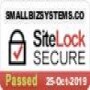 Small Biz Systems