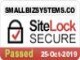 Small Biz Systems