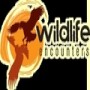 Wildlife Encounters