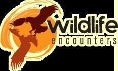 Wildlife Encounters