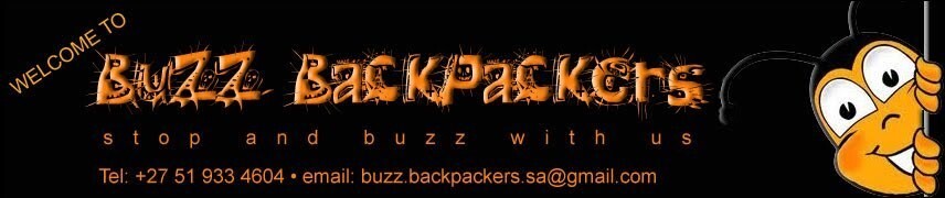 Buzz Backpackers