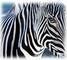 Africa Getaways And International Travel