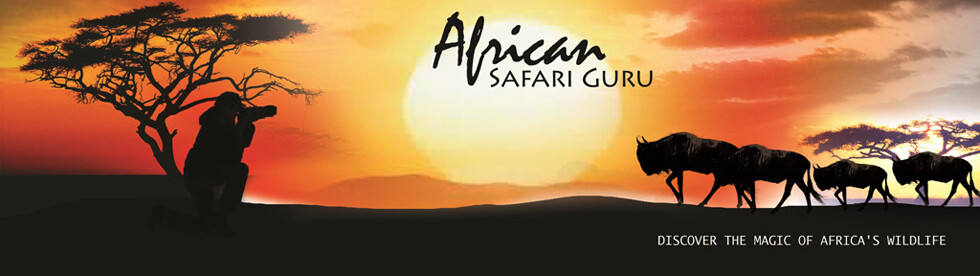 African Safari Guru And Tours