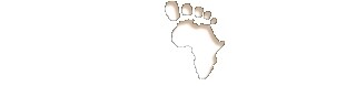 Fleet Foot Safaris