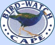 Bird-Watch Cape Tours