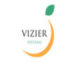 Vizier