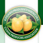 Guava Producers