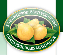 Guava Producers