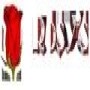 Rosy's Hiring Services (Pty) Ltd