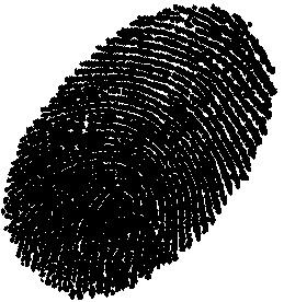 Chenya Security Solutions