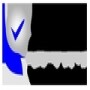 South African Verification Services