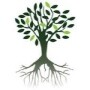 Paper Tree Projects