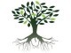 Paper Tree Projects