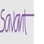 Savant People Development