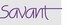 Savant People Development