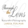Through The Lens